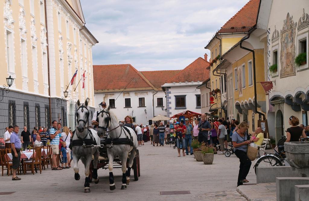 Aparthouse Ani Radovljica Zewnętrze zdjęcie